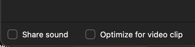 Zoom sound and video checkboxes
